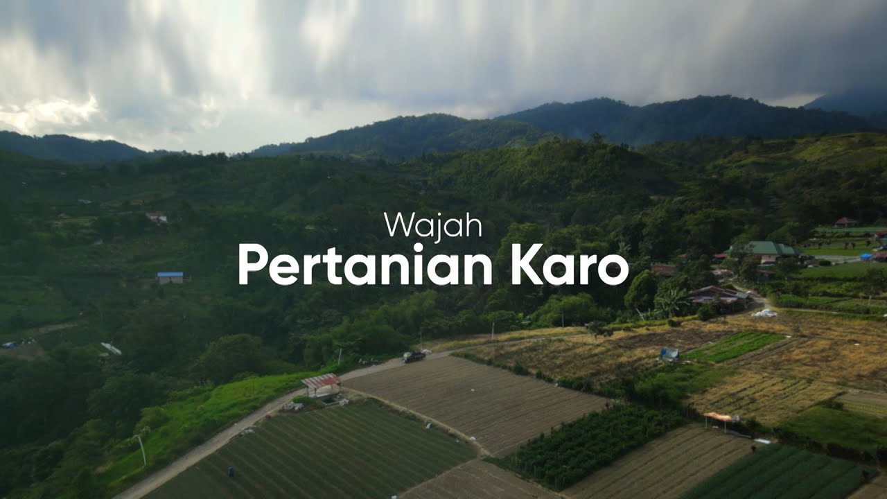 Wajah Pertanian Karo | POTRET