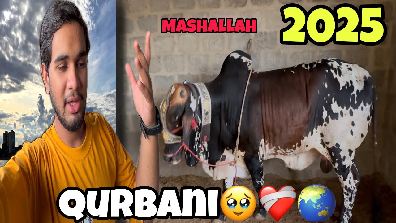 MASHALLAH 😍 2k25 QURBANI REVEL🙈🥹| 6 JUNE 2025|