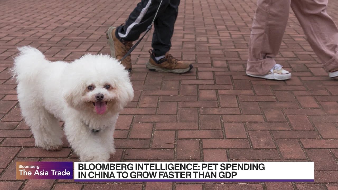China: Fewer Weddings and Kids, More Pets