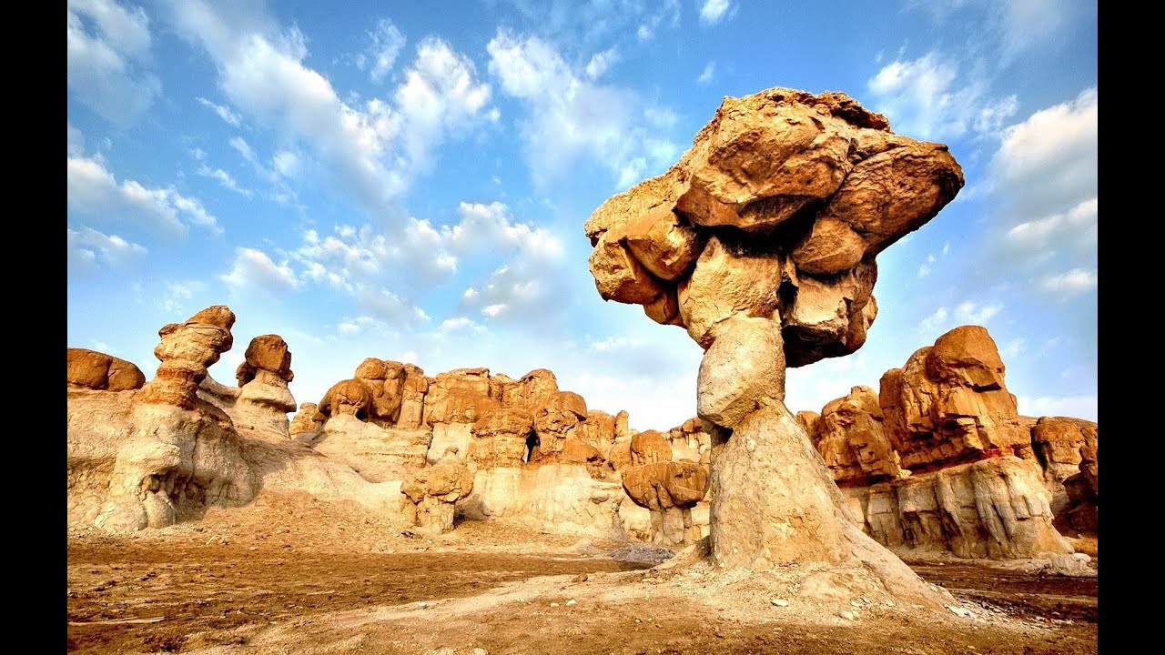 واحة الاحساء  طويل