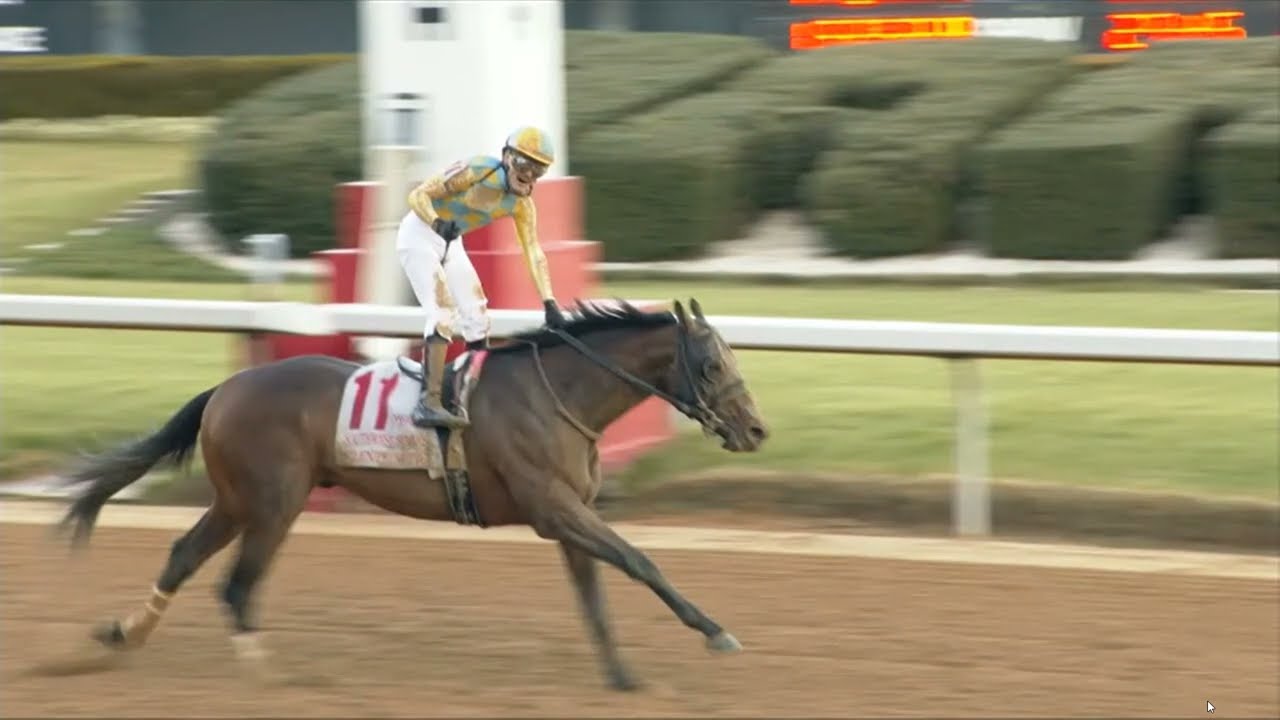 Oaklawn Park Race 11 06 FEB 2026