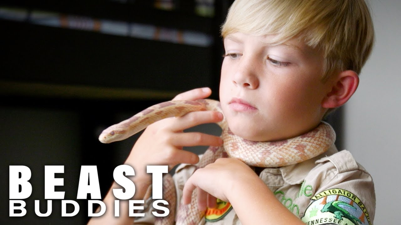 CRIKEY! 10-Year-Old Reptile Fan Bitten By Pet Snake | BEAST BUDDIES