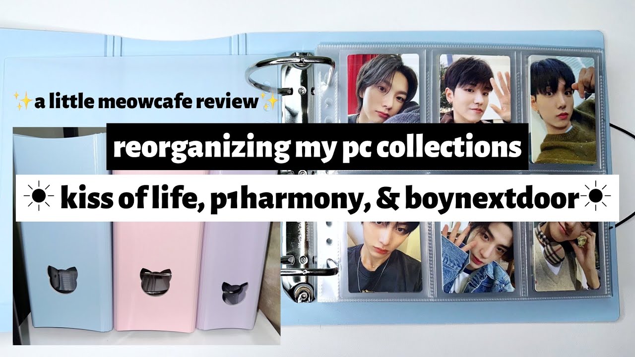 ☼ reorganizing my pc collection ☀︎ kiss of life, p1harmony, & boynextdoor ☼ a little meowcafe review
