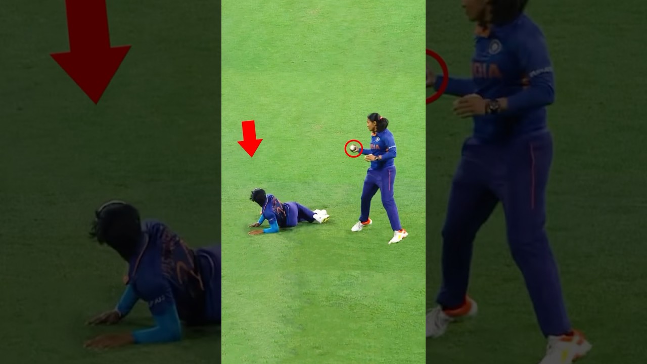 Worst Collision Catches 😳😂 #cricket #shorts #catches #crickettreasure