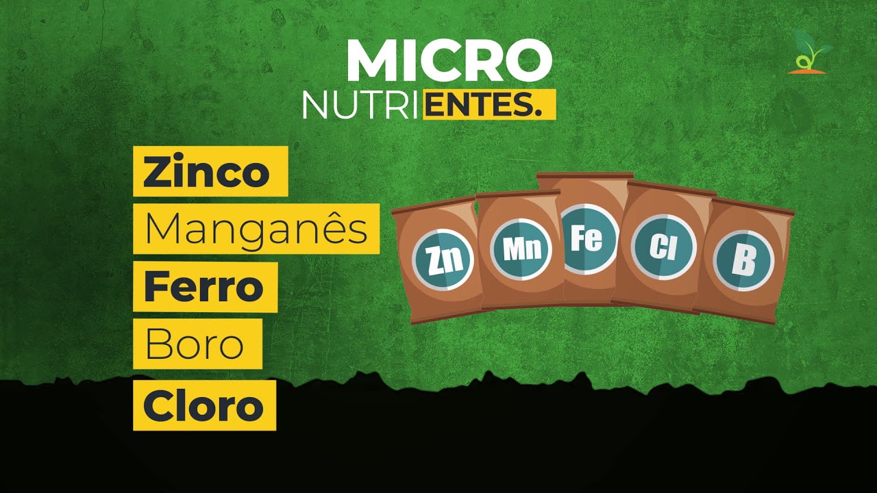 NUTRIÇÃO PARA AS PLANTAS #1 | MACRO e MICRO, Nutrientes MÓVEIS e IMÓVEIS
