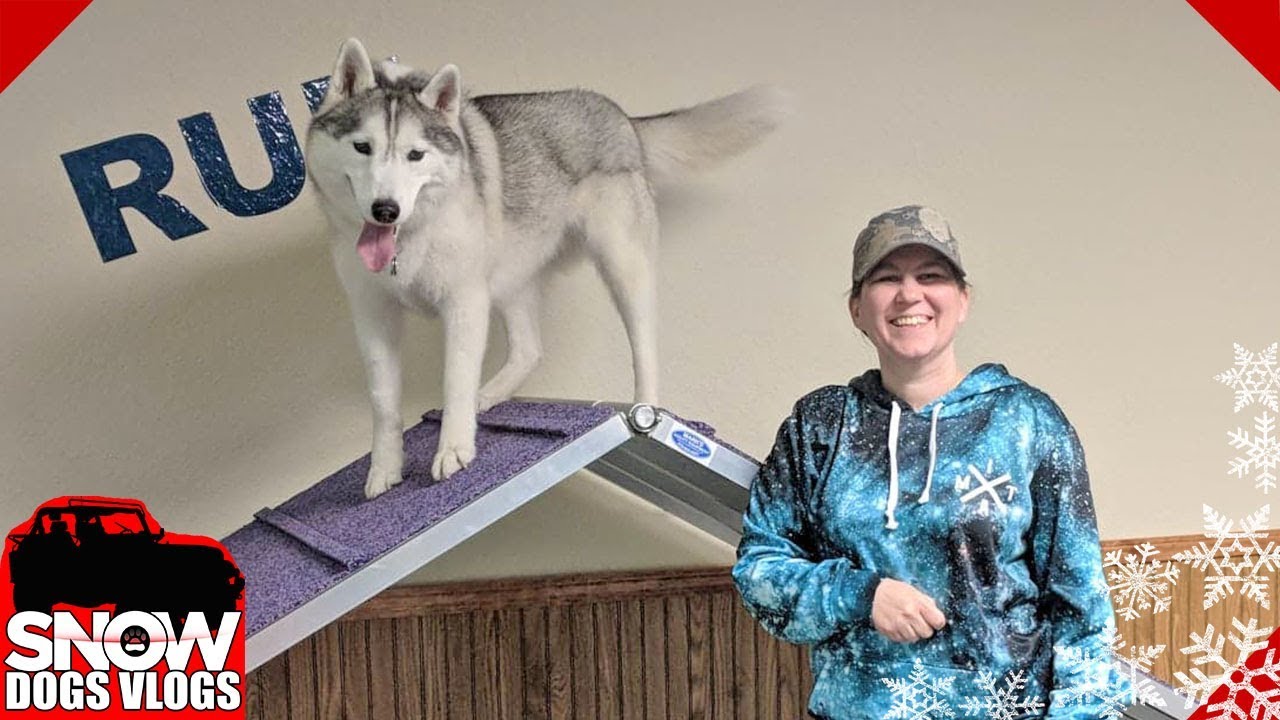 Last Day of Agility Class