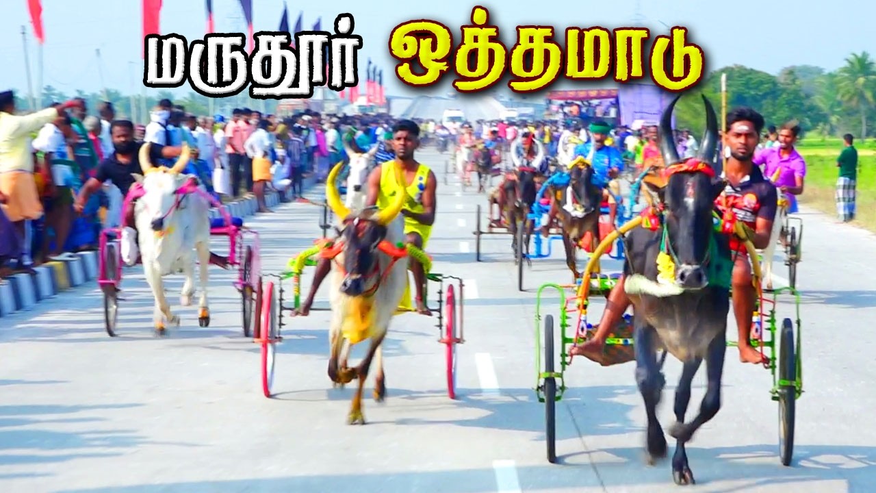 மருதூர் ஒத்தமாடு 14/02/2026