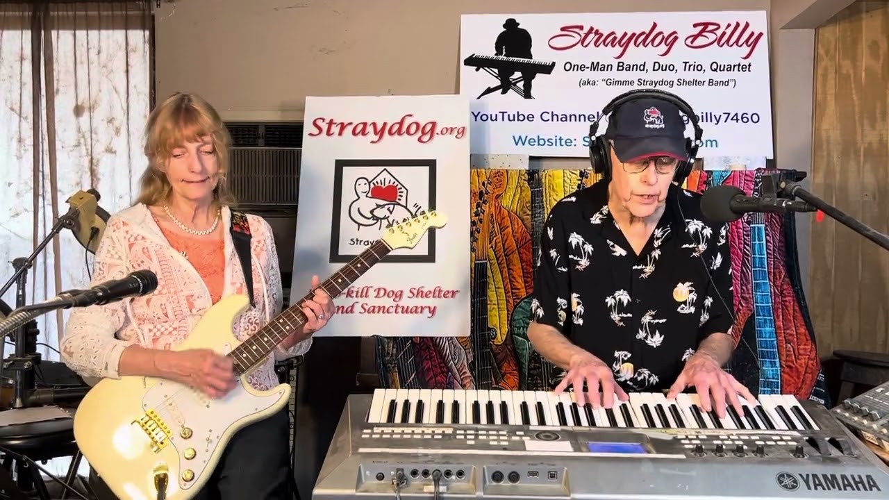 Gimme Straydog Shelter – written by Jagger/Richard – Song 2028 – PLEASE spay/neuter your dogs/cats!!