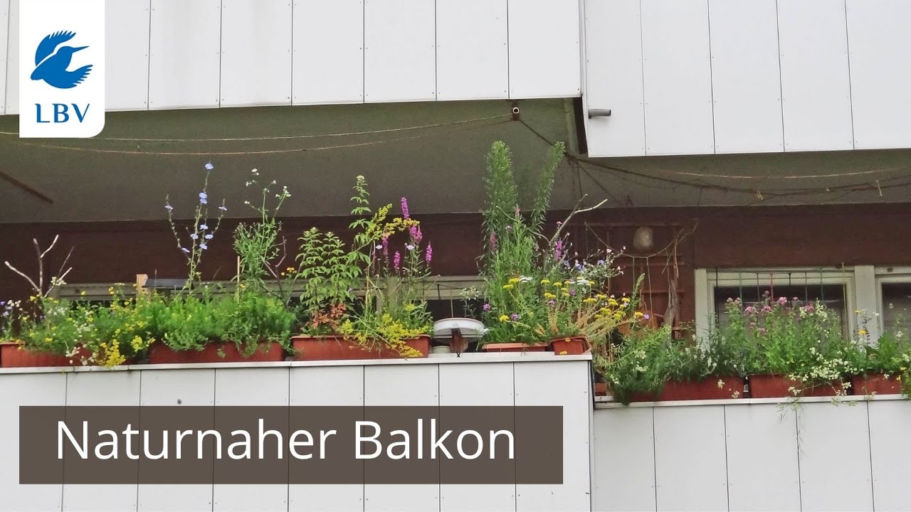 Naturnaher Balkon - Inspirationen für Dich