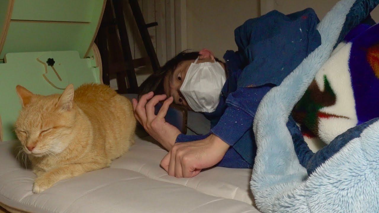 14歳のオス猫を保護して2日目