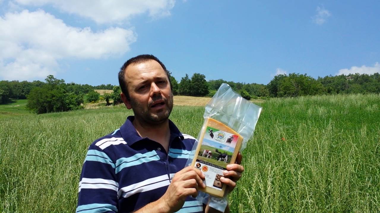 001 il foraggio per il parmigiano reggiano