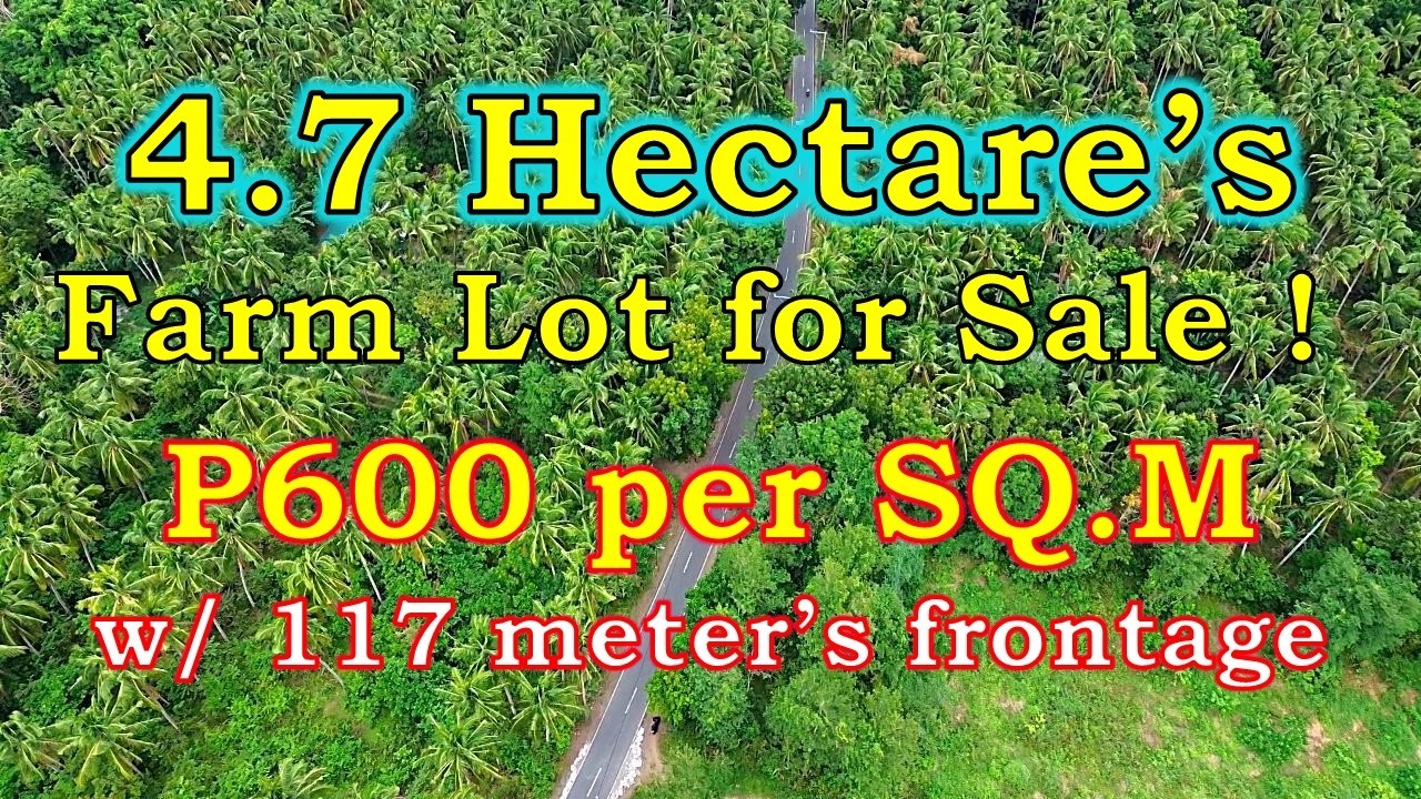 Продается земельный участок площадью 4,7 гектара (номер объекта 229), расположенный в городе Сан-...
