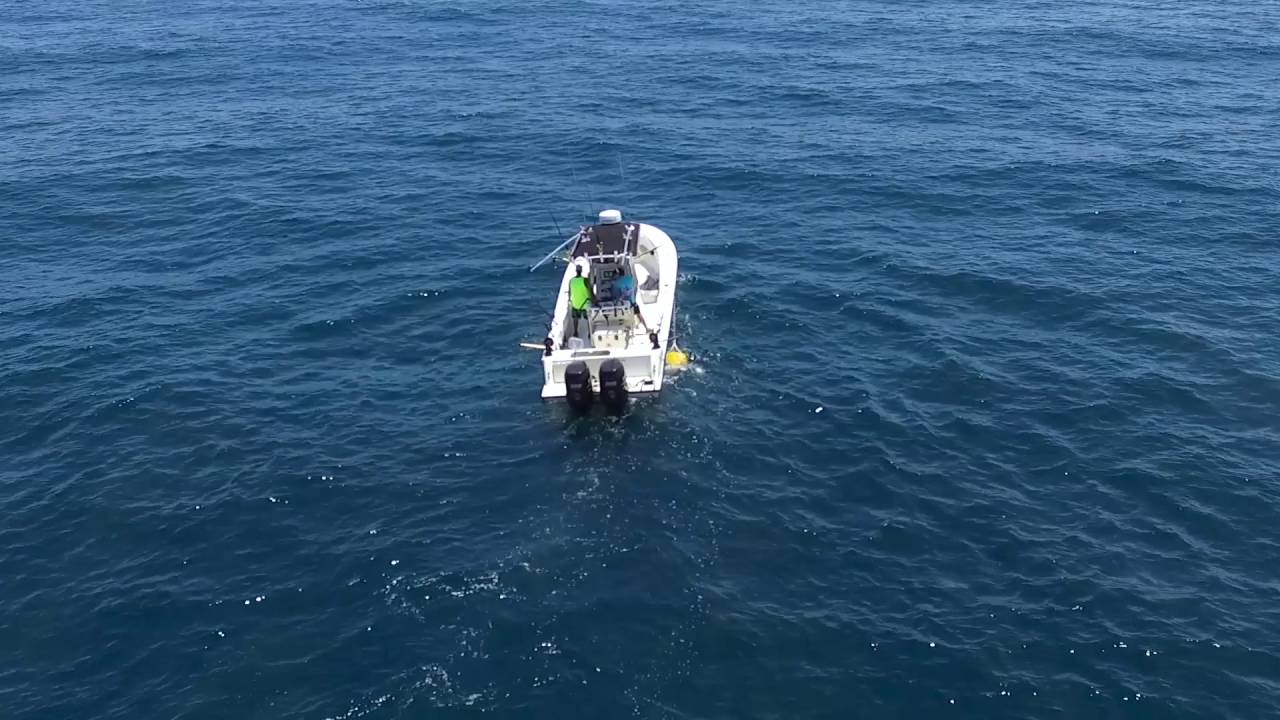 Kingbuster 2016 Fishing Tournament