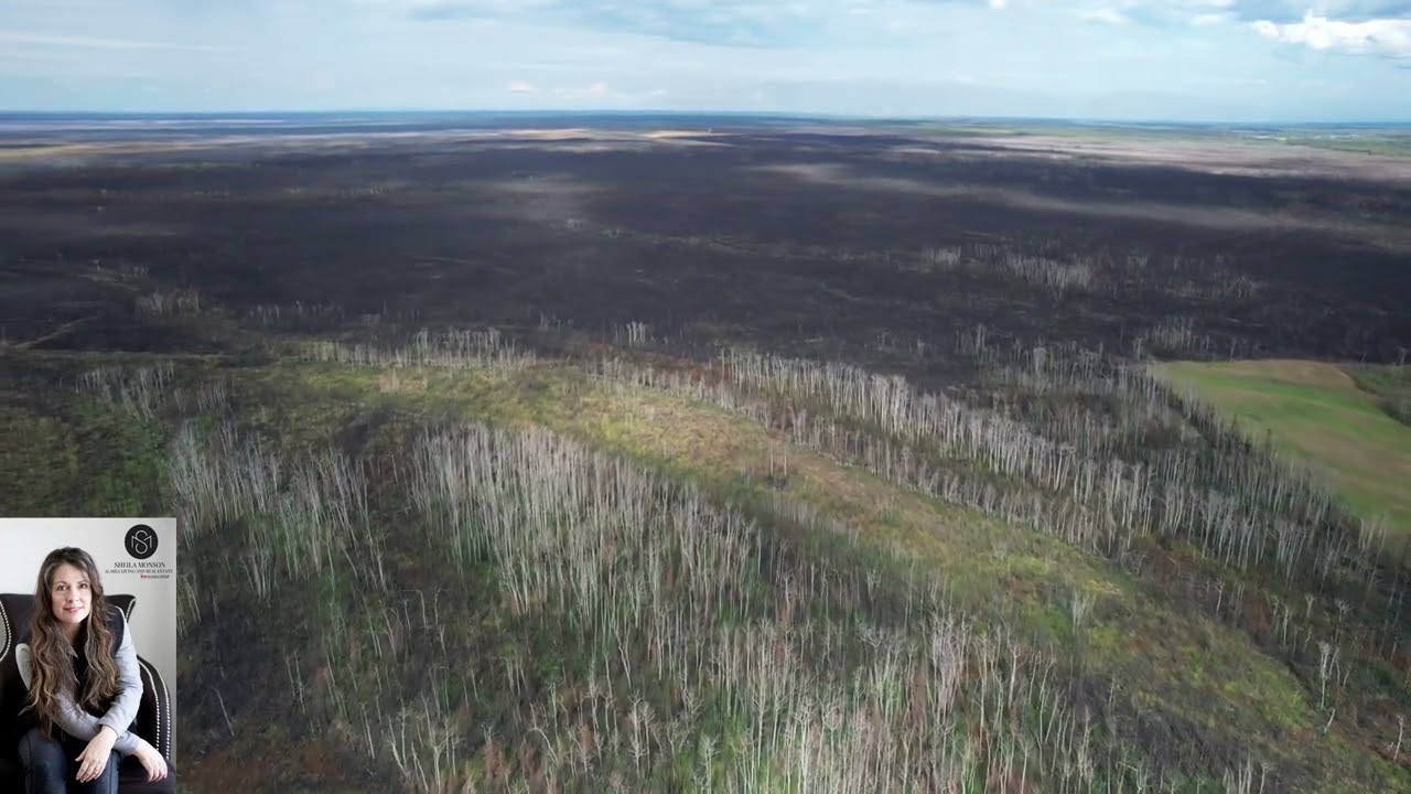 Remote Properties Alaska! Realtor Sheila Monson, 80 Acres For Sale Kobe Ag Road in Clear Alaska!