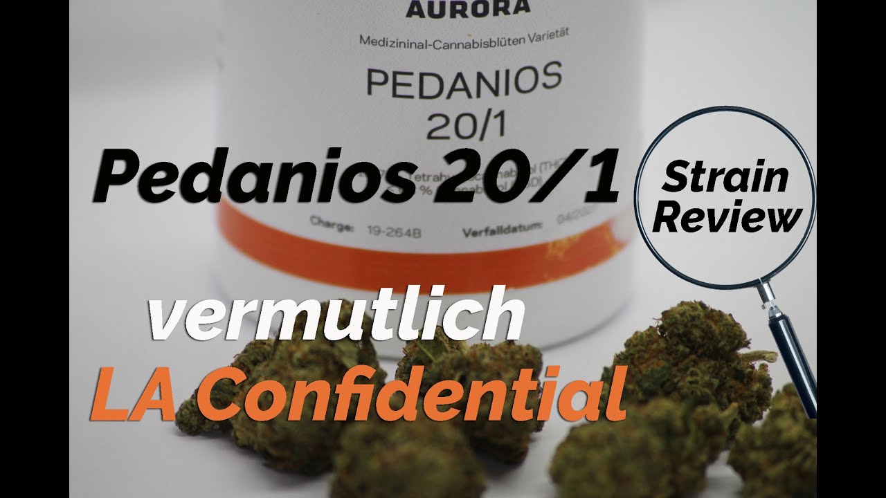 Pedanios 20/1 - vermutlich LA Confidential - Geruch, Geschmack, Wirkung, Terpenprofil