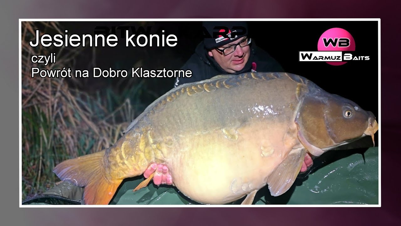 Jesienne konie - karp 29,75 kg