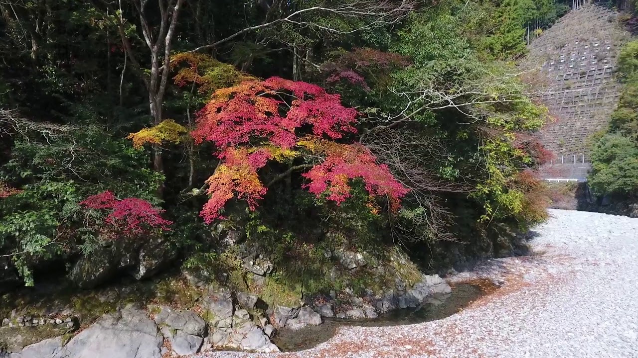 20171117 湯川川の紅葉（下湯川）Ⅱ
