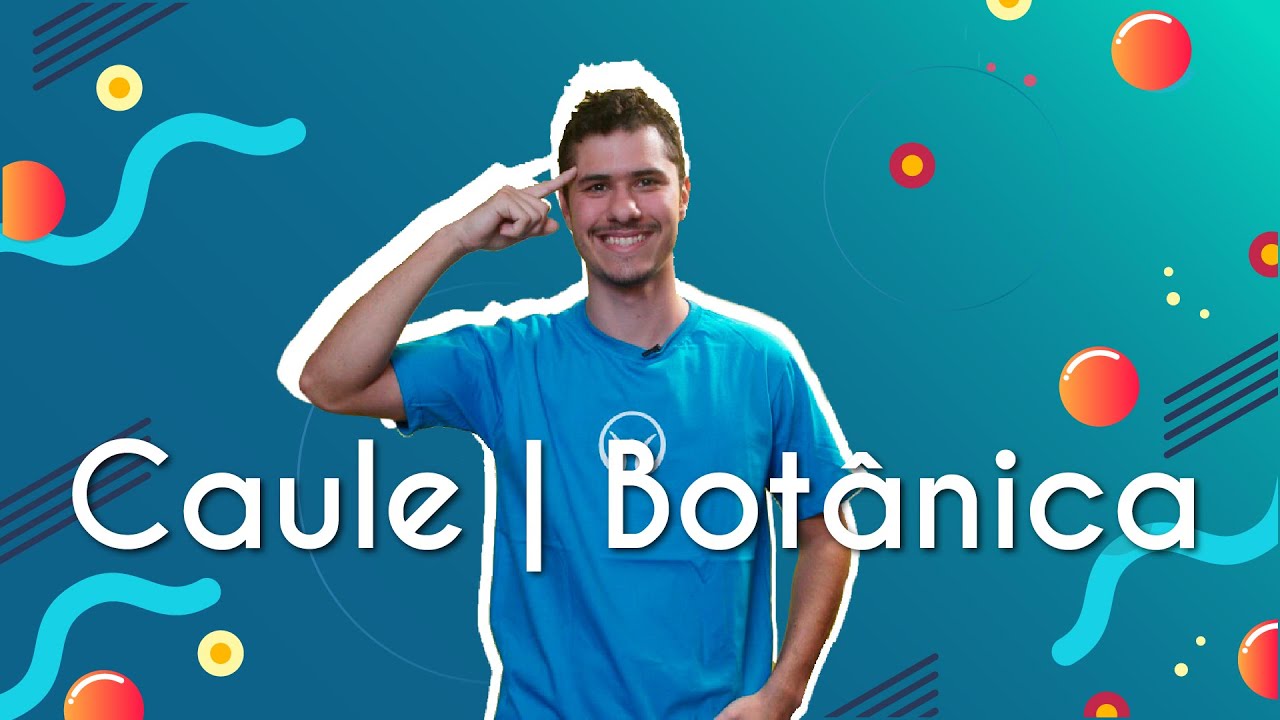 Caule | Botânica - Brasil Escola