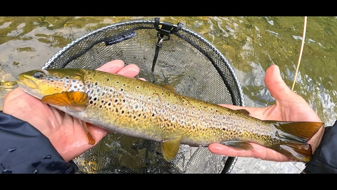 COTO DE GRADEFES