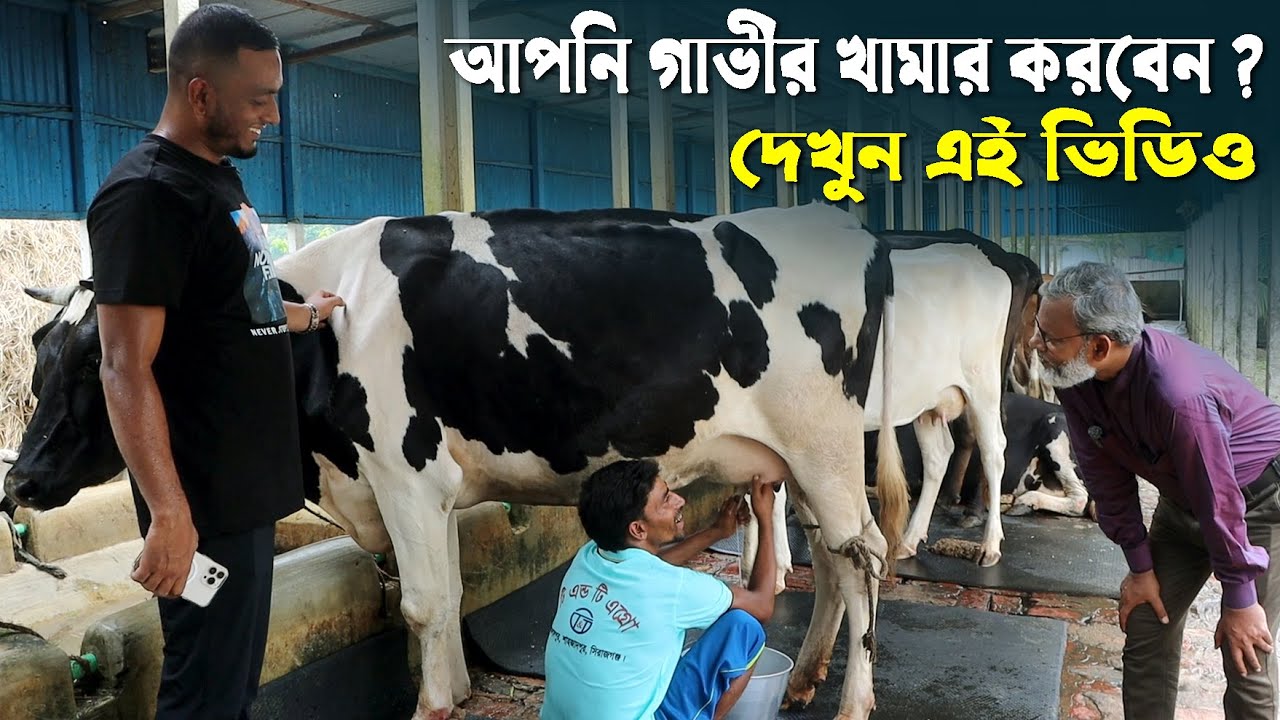 1224-গাভির খামার করতে চাইলে এই ভিডিওটি আপনার জন্য। -র.ই. মানিক চিত্রপুরী R.I Manik.Chitrapuri Krishi