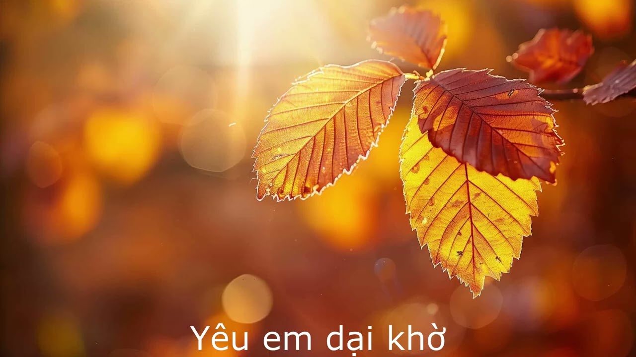 Yêu em dại khờ