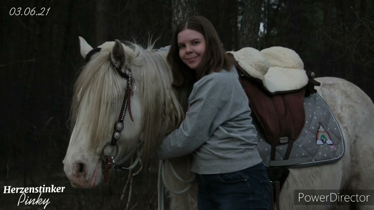 Ehemaliges Beelpony ~ Pinky