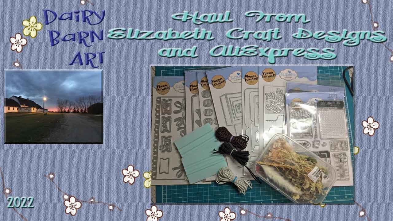 Haul from Elizabeth Craft Designs and AliExpress