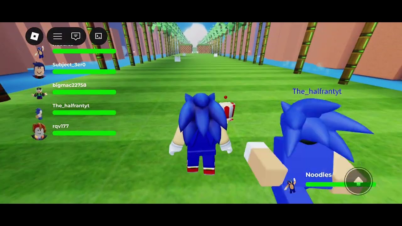 Crediting other youtubers for what they do and trying to get the chaos Emeralds 