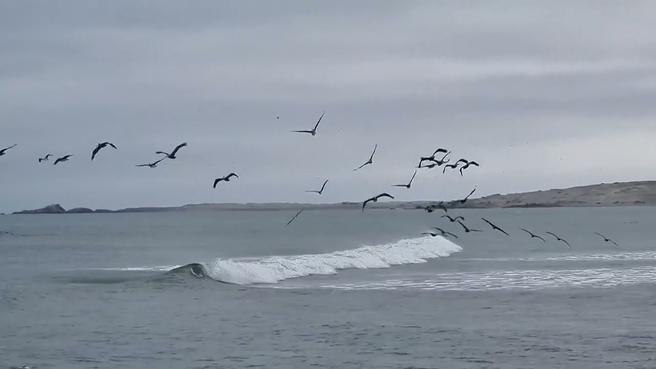 Punta Luna, Peru