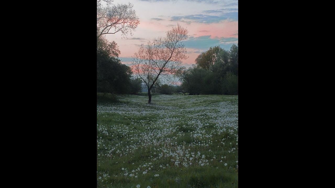 (free) *no drums* sad indie acoustic guitar type beat 