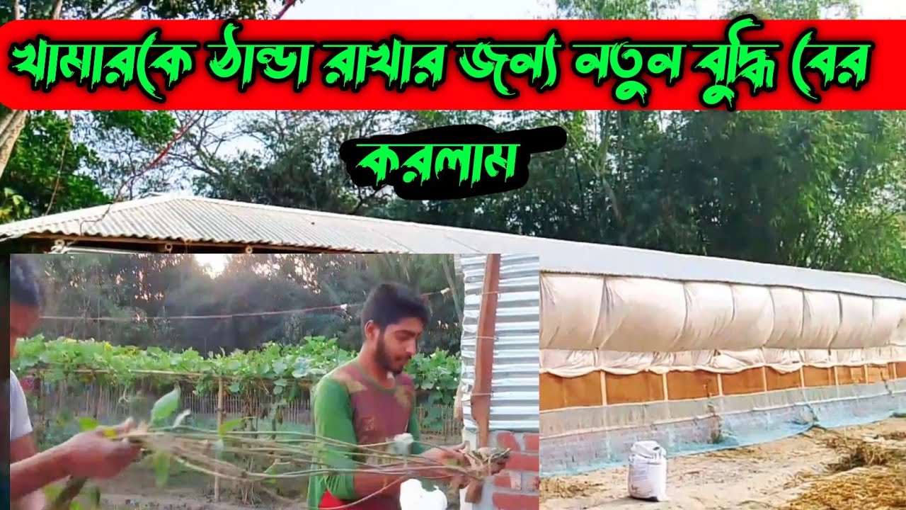 গরমে খামার ঠান্ডা রাখার সহজ উপায়।