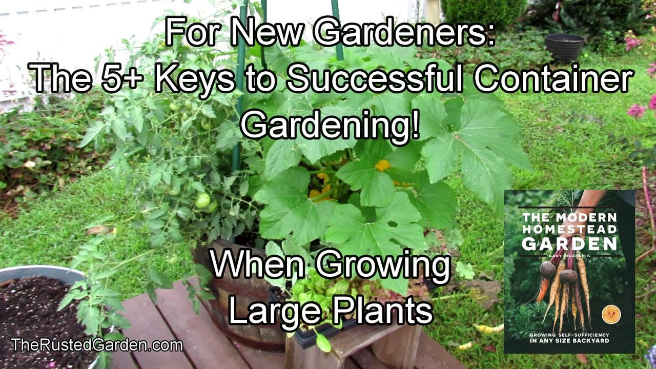 5 Keys to Growing Successfully in Containers: Growing Cucumbers, Squash & Tomatoes - New Gardeners!