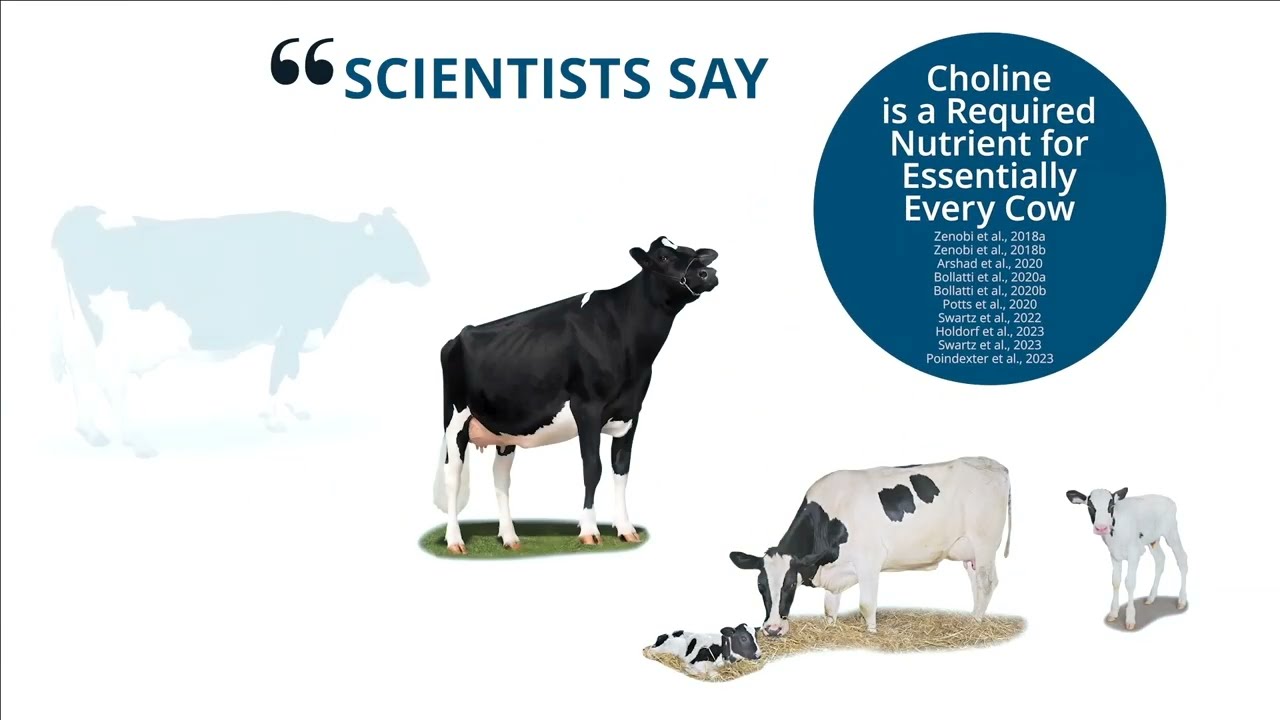 RSLS: Turbocharge Your Fresh Cow Diets with Dr. Thomas Overton, Cornell University