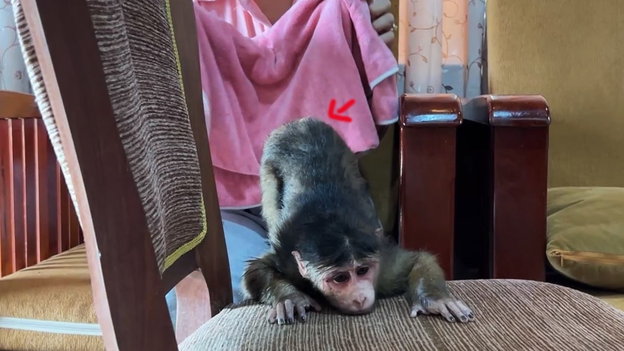 Look At Bro John Stranqe & Funny Behave To Mom When SHe Try To Wipe His Wet Body