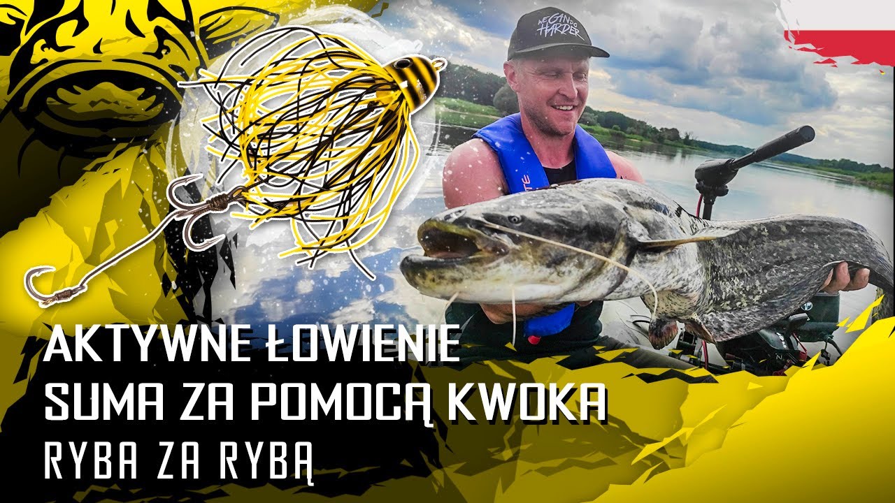 Aktywne łowienie suma, za pomocą kwoka