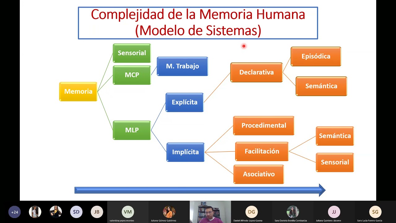 Neurociencia Cognitiva de la Memoria