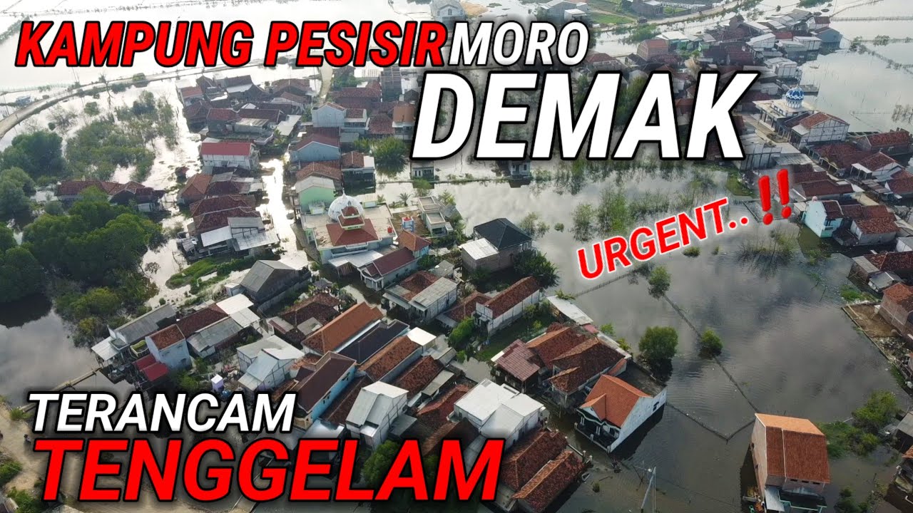 GAWAT‼️SEBAGIAN KAMPUNG PESISIR MORO DEMAK TERANCAM TENGGELAM