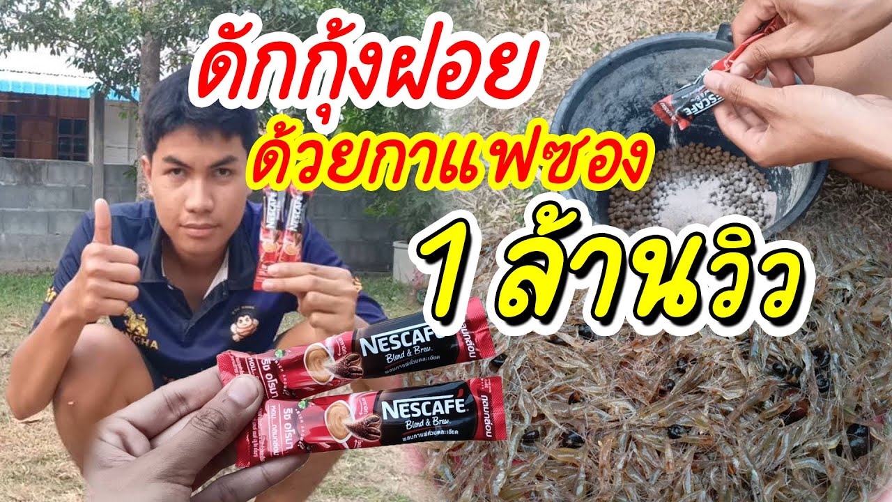 EP.36 ดักกุ้งฝอยด้วยกาแฟ ไม่น่าเชื่อว่ากุ้งเข้าเยอะขนาดนี้!!!