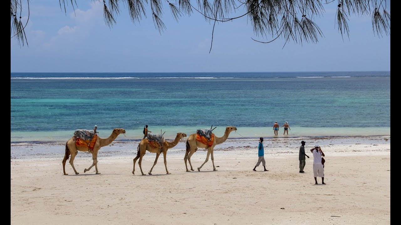 Вкус баобаба! Neptune Village Beach Resort 4*. Diani Beach.Кения