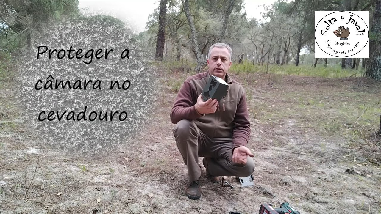 Esperas aos javalis - Proteger a câmara no cevadouro
