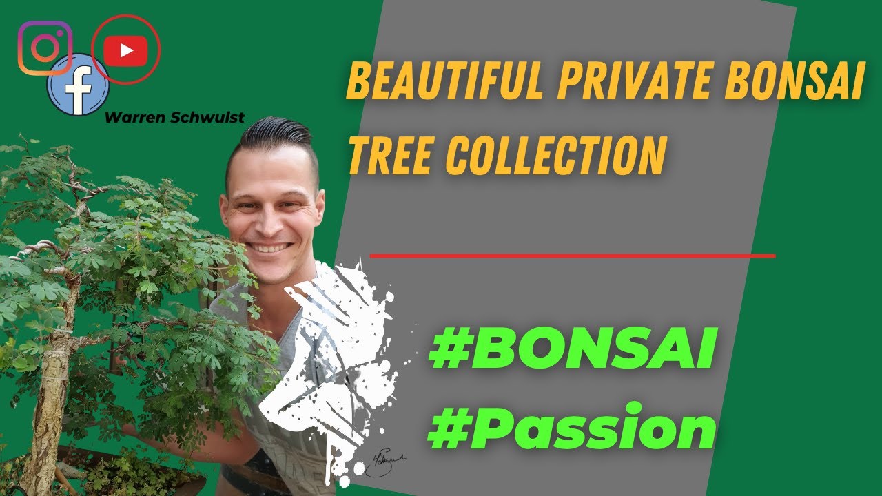 Beautiful Private Bonsai Tree Collection with Warren Schwulst