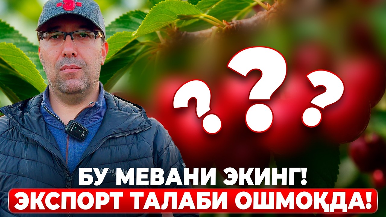 БУ МЕВАНИНГ НАРХИ ВА ТАЛАБИ РЕКОРД ДАРАЖАДА! | ШУҲРАТ АБРОРОВ #shuhratabrorov