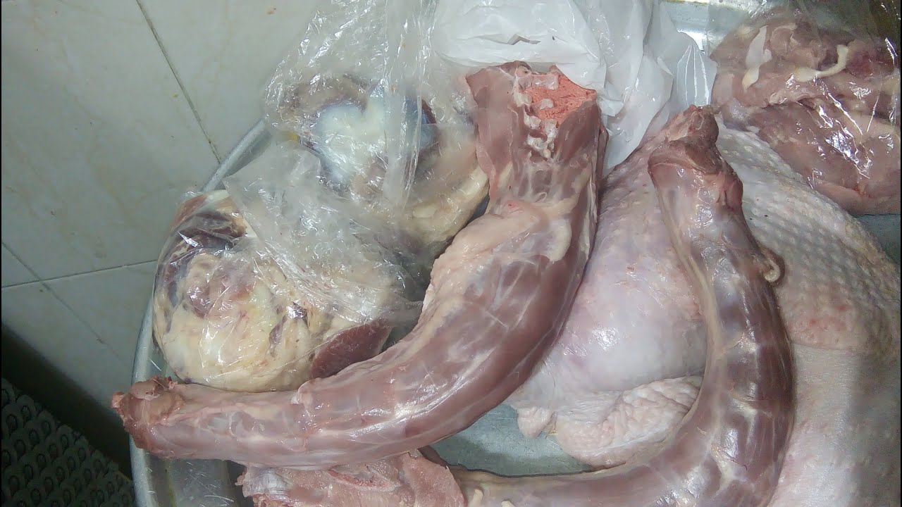 مشتريات اجزاء من الديك الرومي بالاسعار