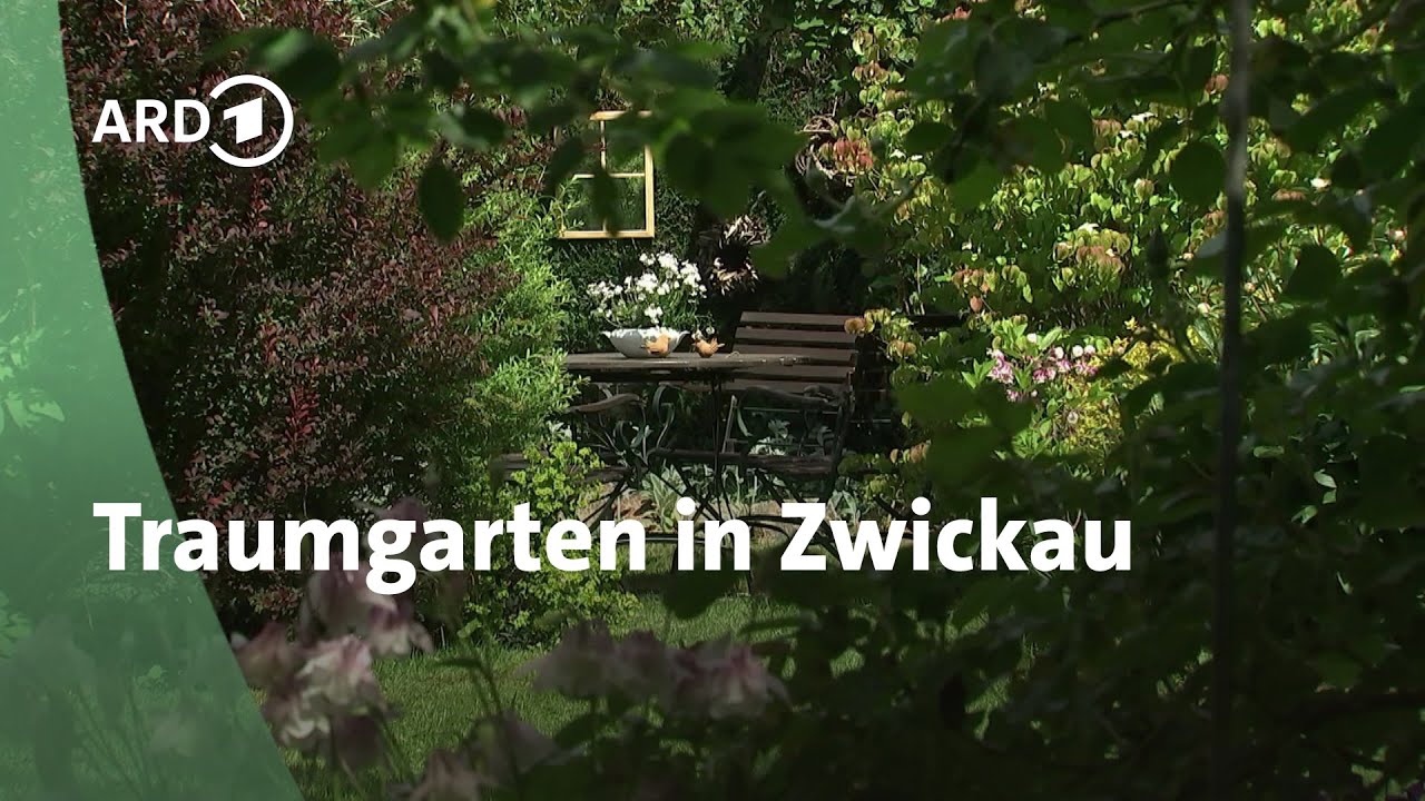 Ein romantischer Traumgarten in Zwickau | MDR Garten