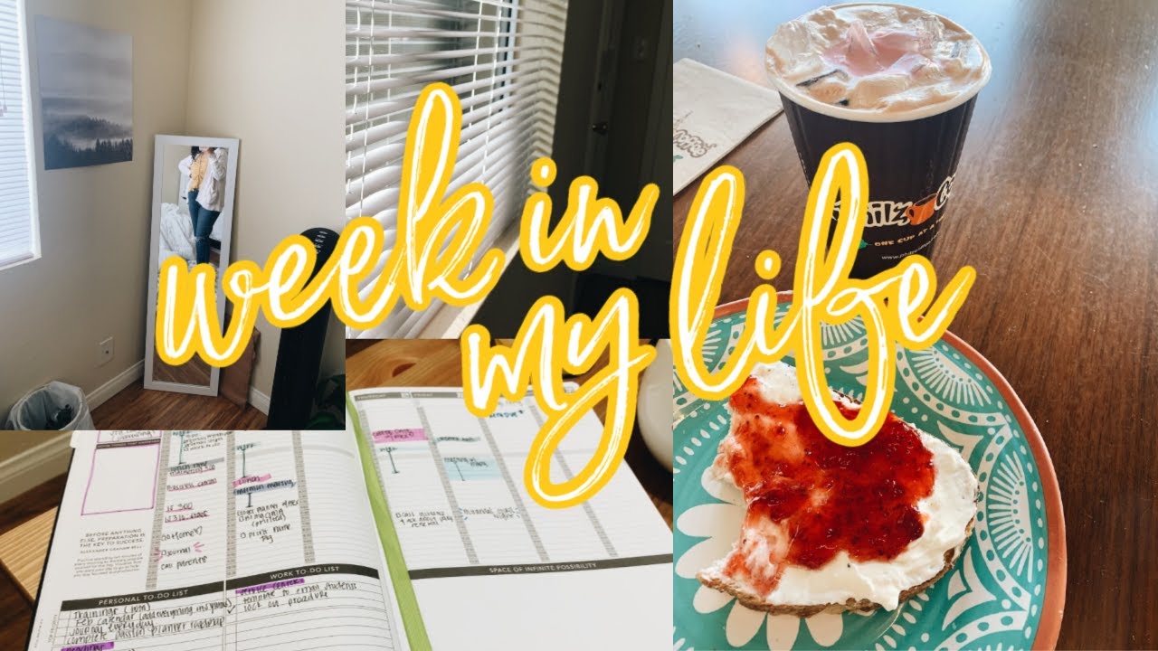 week in my life ! csulb//spring semester//meetings//coffee dates !
