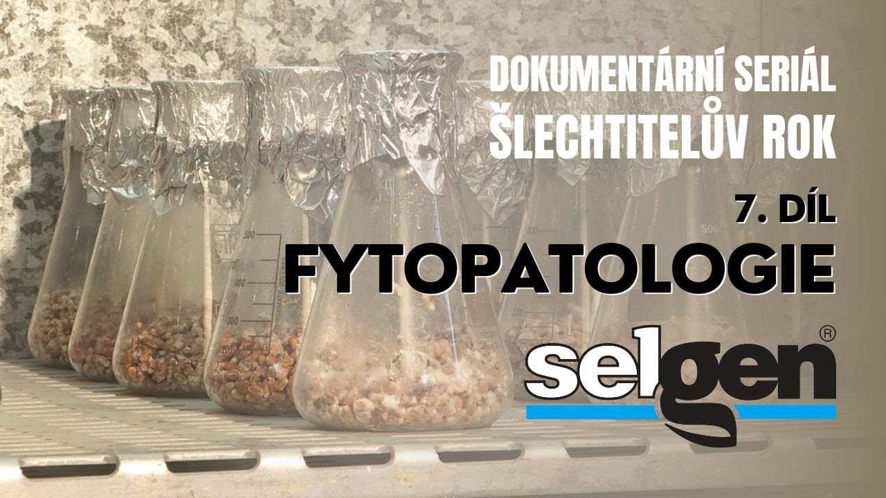 🌾 SELGEN 🌾&Scaron;LECHTITELŮV ROK 🌾 7. d&iacute;l &ndash; Fytopatologie🦠
