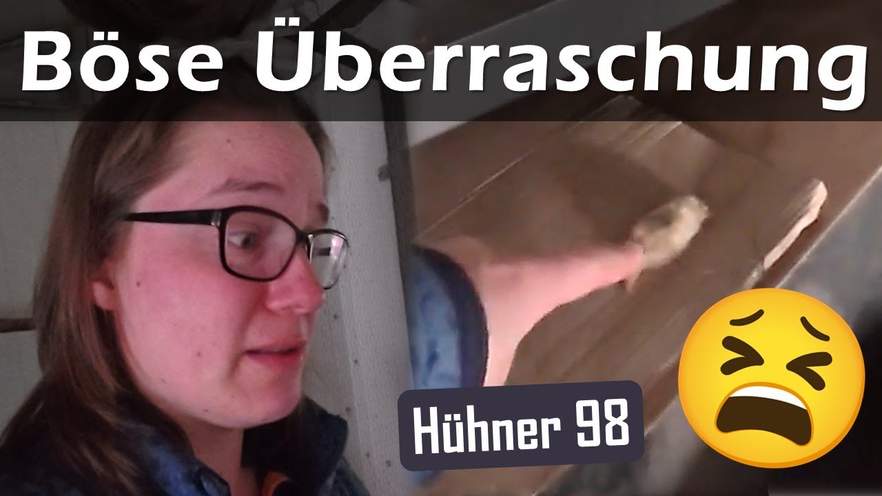 Damit hatte ich nicht gerechnet 😭 #Hühner 98