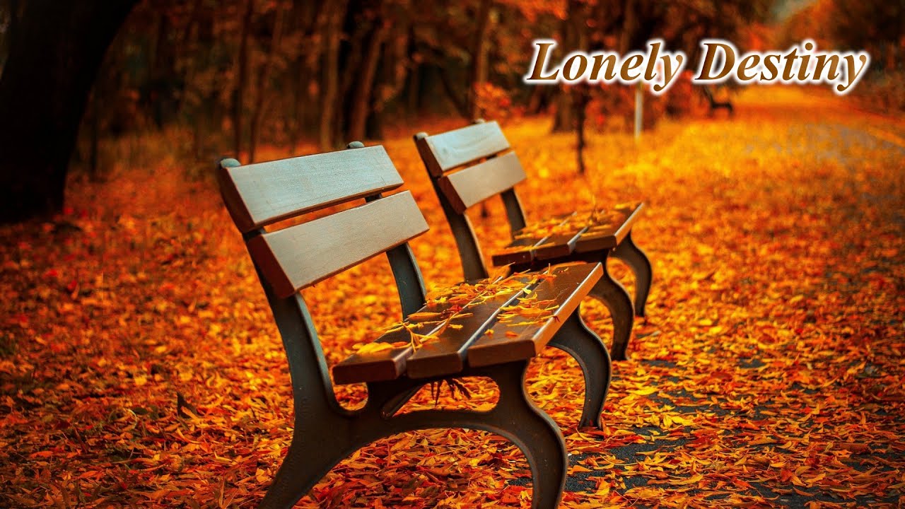 ✅ LONELY DESTINY (ORIGINAL MUSIC) #yuriysaliy #guitarmusic #relaxingmusic #calmingmusic #lifemusic