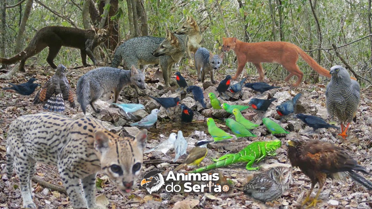 MANTIVE ESSA FONTE COM ÁGUA O VERÃO INTEIRO