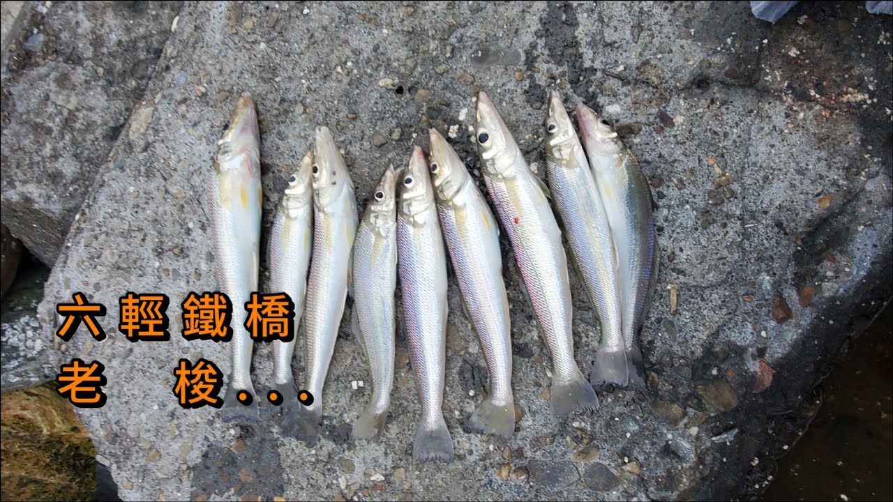 雲林六輕鐵橋釣老梭...滿地的垃圾,看了真的讓人覺得難過...#南投小江 #釣魚 #Fishing #Mancing #釣り